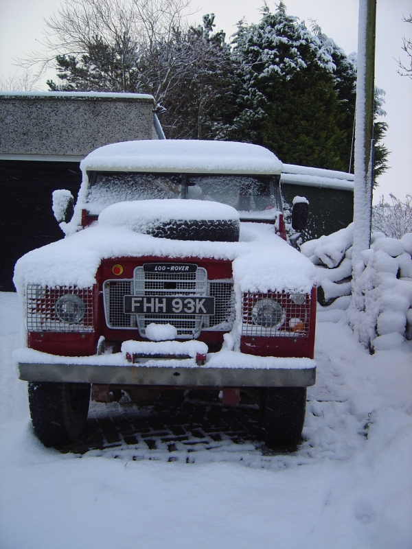 autumn 2010 039